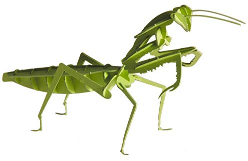 Fridolin 11624 3D-Papiermodell - Gottesanbeterin