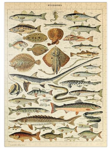 MyPuzzle Fisch für alle, Vintage Art Poster, Adolphe Millot - Premium 500 Teile Puzzle - MyPuzzle Sonderkollektion von Havana Puzzle Company