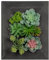 Oairse Fake Plants Succulents 3D Artificial Wall Hanging Plants Indoor Faux Succulent Arrangement in Wooden Planter for Home Farmhouse Kitchen Console Table Wall Decoration