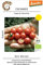 Culinaris 001 Wildtomate Rote Murmel (Bio-Wildtomatensamen)
