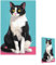 Cat Sit Down Single Duplex Light Switch Plates Outlet Covers Wall Plate 1 Gang Outlet Covers Decorative Electrical Faceplate Switchplates for Badroom Home Decor 3 X 5 In