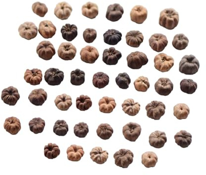 Baoblaze Lot de 50 Mini gousses de Putka, Mini citrouilles, matériaux Faits à la Main, Ornements, Fruits secs, Remplissage de Vase pour Pot-pourri, Mariage,