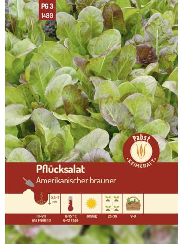 Pabst Keimkraft - Pflücksalat spätschossend & buntblättrig Amerikanischer Brauner Samen - 171480