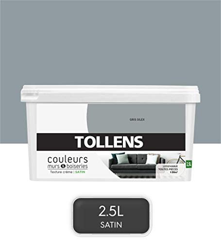 Tollens - Peinture Couleurs - Murs et Boiseries - Toutes pièces - Ultra résistante - Satin - Gris Silex - 2,5L = 30m2