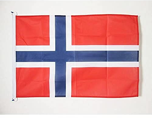 AZ FLAG Bandera de Noruega 90x60cm Uso Exterior - Bandera Noruega 60 x 90 cm Anillos