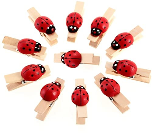 Mollette Legno Naturale con Coccinelle Mollettine 35 mm Decorazione Biglietti Regali, Portafortuna per Bomboniere, DIY Chiusura Sacchetti Foto Biglietti Scrapbooking Matrimonio Feste, 48 pezzi