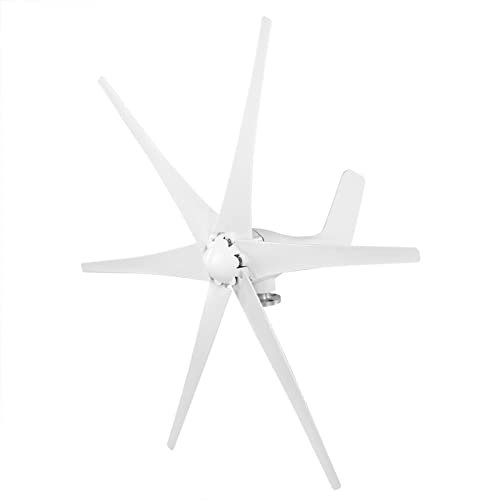 Molino de viento del generador de viento de la turbina de viento con 6 aspas 12V 800W para el hogar (24V)