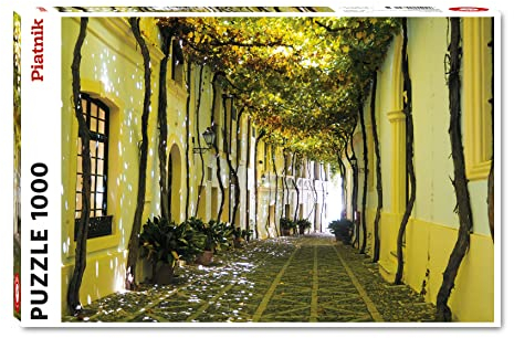 1000 Teile Puzzle - Andalusische Gasse