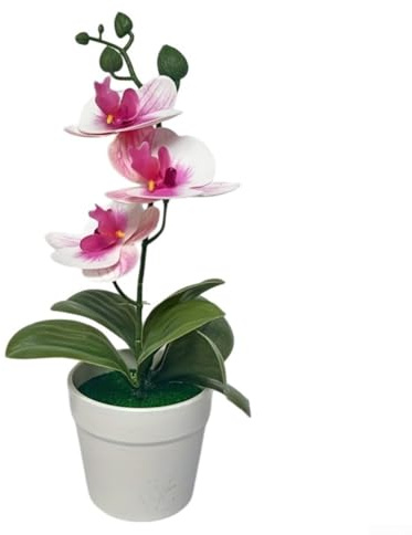 Bonsai di orchidea Phalaenopsis artificiale, pianta realistica in vaso in plastica per interni ed esterni, bordo rosa rosso (cuore viola)