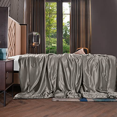 THXSILK Seidenkuscheldecke Innen und außen 100% Seide - Leichte Sommerdecke aus Seide als Sofadecke Couchdecke Wohndecke - Kleine Seide Decke für Couch weich und warm - Grau 135 x 180 cm