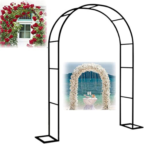 BGGNDZ Arche Jardin pour Rosiers Plantes Grimpantes, Metal Arceau à Rosiers, Arche de Rosiers Vigne Mariage, Pergola Tonnelle de Jardin, Intérieur Extérieur Décoration de Fête,350x220x40CM