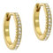 Ted Baker Heplie Crystal Hoop Earrings (14mm outside diameter) For Women (Gold/Crystal)