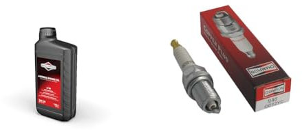 Briggs & Stratton 100007E Huile Moteur SAE 30, 1.0 litre & CHAMPION - Bougie D'Allumage CHAMPION QC12YC - Durable & Fiable - Haute Qualité - Equivalent NGK BKR5ES, NGBKR5ES