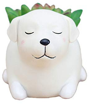 Youfui Niedlicher Hunde-Blumentopf, Kunstharz, Sukkulenten, Schreibtisch, Mini-Ornament (Labrador)