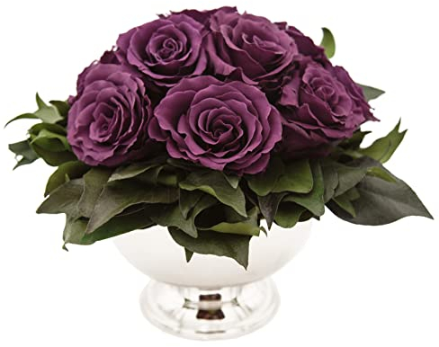 ROSEMARIE SCHULZ Heidelberg Infinity Blume in silberfarbenen Becher ewige Rose konserviert Blumenstrauß langhaltend (Violett, 11 Rosen)