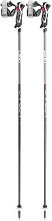 LEKI Carbon 14 3D Alpin Stöcke