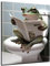 DARO Design - Bilder Deko Gäste WC Wandbild Badezimmer Bad Toilette Kunstdruck Bild auf 6mm HDF 50x70 cm Frosch Wanddeko - lustige Wandbilder Leinwand Poster Aesthetic Room Decor Frog