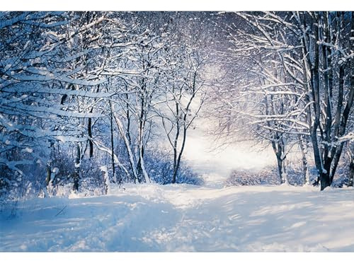 MIRRORANG 2,5x1,8m Forêt enneigée Toile de Fond Hiver Neige Glace Paysage de Neige La Photographie Contexte pour Noël Vacance Nouvel an Fête Affiche Photo Studio Accessoires, Vinyle