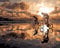 DIY Fabric Decorating Kits, ABEUTY Paint by Numbers Cycling When Sunset 16x20 inches Number Painting Wall Art