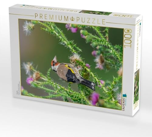 CALVENDO Puzzle Stieglitz | 1000 Teile Lege-Größe 48 x 64 cm Foto-Puzzle für glückliche Stunden