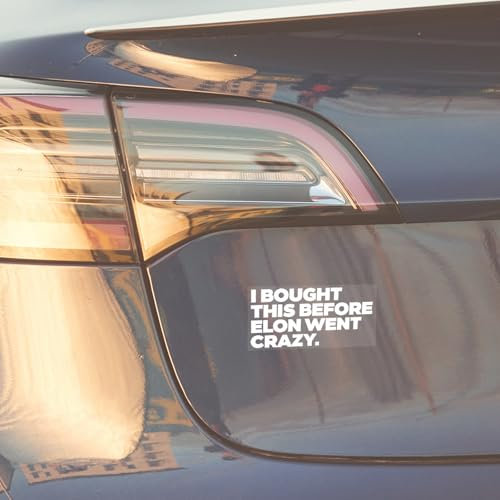 Aufkleber I BOUGHT THIS BEFORE ELON WENT CRAZY | 115x60mm | weiß/transparent | Auto Aufkleber | Tesla Sticker | Anti Elon