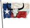 KJHBVND Bandiera da giardino Vintage American State Texas Bandiera Bull Skull Bandiera Poliestere con 2 occhielli in ottone Banner Colore vivace e a prova di sbiadimento Bandiera da cantiere Bandiere