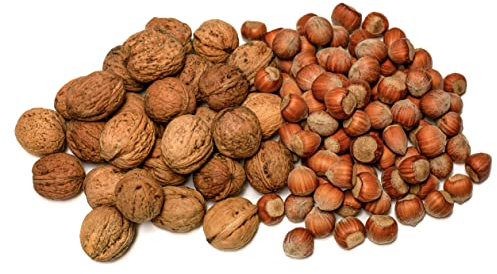 IGART Haselnüsse 10kg + Walnüsse 10kg in der Schale | MIX | Hazelnuts | Walnuts | Schmackhafte reif Walnüsse | Eco-Qualität | Ernte 2024 | Leckerbissen | Supernuss