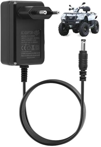 6V 0.8A Chargeur pour Véhicules pour Enfants, 6V Chargeur pour Conduite électrique sur Jouets Compatible avec Voiture Jouet électrique, Moto, SUV et ATV Ride-Ons Accessoires