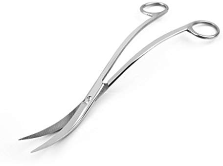 UNTERING Stainless Steel Scissors Curved Tip Student Craft Scissors Pet Grooming Cutter Hair Trimmer For Adult Home Clean Water Grass