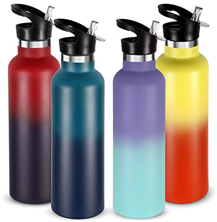 Volhoply 750ml Gourde Inox avec Paille 4 Paquets, Bouteille Isotherme à Double Paroi Avec Couvercle Sans BPA, Bottle Réutilisable en Métal pour École, Sport,enfant,Cadeaux(Assortiment,4 Set)