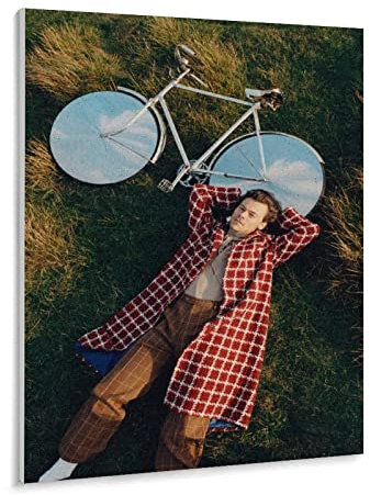 Puzzle 1000 Stück Harry Styles Poster Papier Adult Toys Dekompressionsspiel（38x26cm-z28p