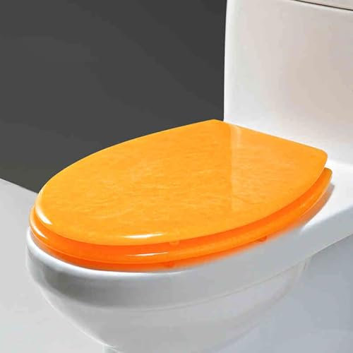 Eleeonora Resin Toilet Seat,Glitters Toilet Seat,Thickened Resin Toilet Seat,Funny Toilet Seat,Hinged Connection,Comfortable,Easy To Clean,Bright Colors,Suitable For Hotel Toilet Decoration