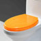Eleeonora Resin Toilet Seat,Glitters Toilet Seat,Thickened Resin Toilet Seat,Funny Toilet Seat,Hinged Connection,Comfortable,Easy To Clean,Bright Colors,Suitable For Hotel Toilet Decoration