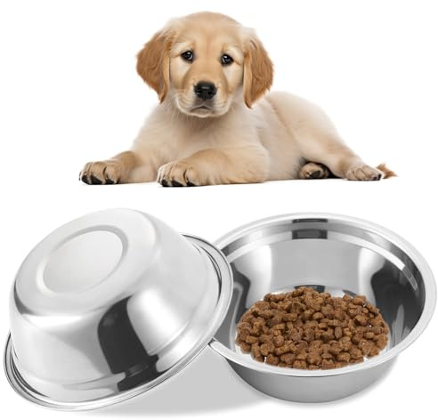 Xoeryoy Stainless Steel Dog Bowls 2Pcs 8 Inch Mirror Surface Easy Wash Dog Food Bowl for Water/Treat/Meat at Home