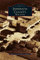 Arcadia Publishing Library Editions