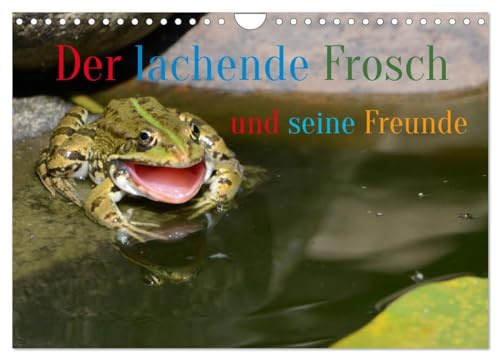 Der lachende Frosch und seine Freunde (Wandkalender 2026 DIN A4 quer), CALVENDO Monatskalender: Da musste ich auch lachen und hab fast die Kamera fallen lassen. (CALVENDO Tiere)