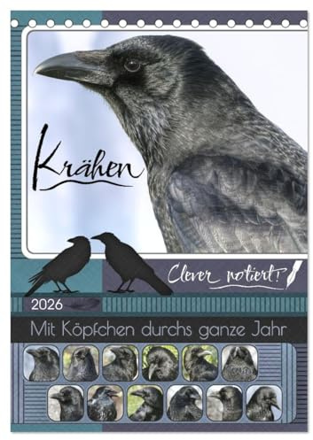Krähen - Clever notiert! Mit Köpfchen durchs ganze Jahr (Tischkalender 2026 DIN A5 hoch), CALVENDO Monatskalender: Krähen mit ihrer erstaunlichen ... Köpfchen - fürs ganze Jahr! (CALVENDO Tiere)