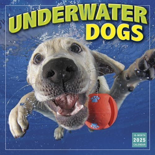 Underwater Dogs Wandkalender 2025, 16 Monate Tierkalender, 30,5 x 30,5 cm