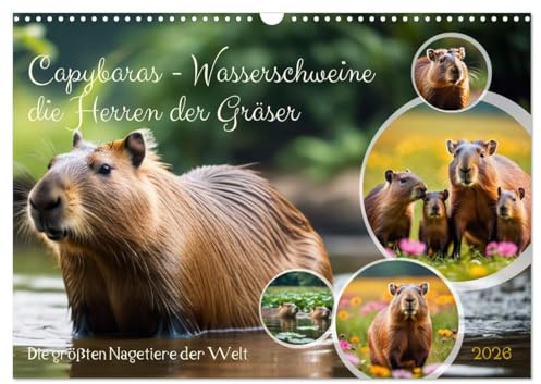 Capybaras - Wasserschweine die Herren der Gräser (Wandkalender 2026 DIN A3 quer), CALVENDO Monatskalender: Die größten Nagetiere der Welt (CALVENDO Tiere)