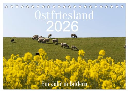 Ostfriesland - Ein Jahr in Bildern (Tischkalender 2026 DIN A5 quer), CALVENDO Monatskalender: Einblicke in die ostfriesische Landschaft (CALVENDO Orte)