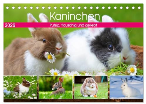Kaninchen. Putzig, flauschig und geliebt (Tischkalender 2026 DIN A5 quer), CALVENDO Monatskalender: Die beliebten und kuscheligen Gesellen mit den langen Ohren (CALVENDO Tiere)