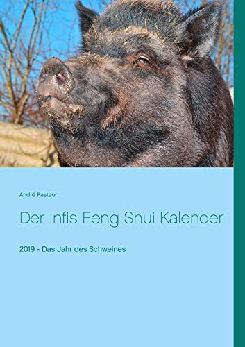 Der Infis Feng Shui Kalender: 2019 - Das Jahr des Schweines