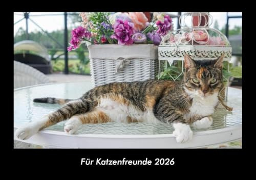 Für Katzenfreunde 2026 Fotokalender DIN A3: Monatskalender mit Bild-Motiven von Haustieren, Bauernhof, wilden Tieren und Raubtieren