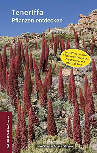 Teneriffa: Pflanzen entdecken