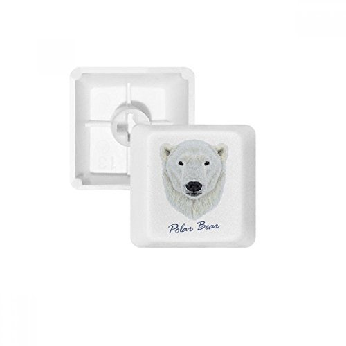 Weiß Northern Wild Polar Bear Animal PBT Tastenkappen für Mechanische Tastatur Weiß OEM-Nr. Markieren Print Mehrfarbig Mehrfarbig R4