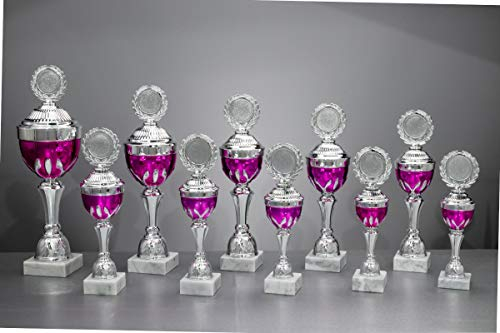 Henecka Pokal Serie Amaya, Silber-pink, mit Wunschgravur und auswählbarem Sport-Emblem, Größe 28,8 cm
