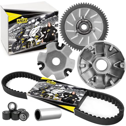Area1 Variomatik + Keilriemen 50ccm China 4Takt 10Zoll kompatibel mit Lingtian Vanguard Tauris TNTMotor Rivero Neco Luxxon JMSTAR JINLUN EUROCKA Lance Motobi