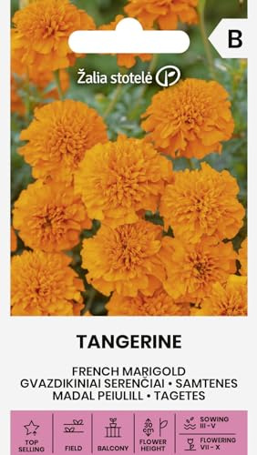 Zalia stotele | Tagetes - TANGERINE samen | Blumensamen | Einjährige orangeblühende Studentenblumen | Für Beet, Balkon & Rabatte | Gartensamen | 1 Pack