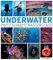 Underwater Photography Masterclass