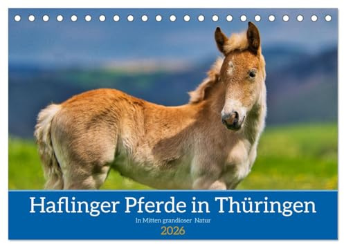 Haflinger Pferde in Thüringen (Tischkalender 2026 DIN A5 quer), CALVENDO Monatskalender: Die schönsten Pferde in grandioser Thüringer Natur (CALVENDO Tiere)